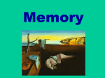 Memory