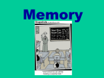 Memory - kochappsych