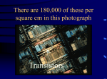 There are 180,000 of these per square cm in this photograph