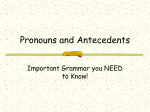 Pronouns and Antecedents