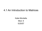 Matrices - Katie Montella