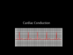 Cardiac Conduction