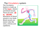 The Circulatory system