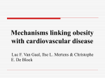 Obesity and cardiovascular disease