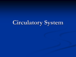 Circulatory ppt