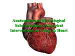 Anterior & Posterior View