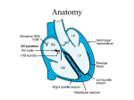 ECG Presentation