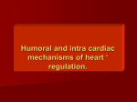 Lecture 19. Humoral and intra cardiac mechanism of heart` re