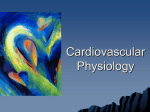 Cardiovascular Physiology