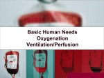 Basic Human Needs Oxygenation Ventilation/Perfusion