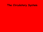 The Circulatory System