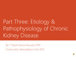 Part Two: Etiology & Pathophysiology of Chronic Kidney Disease