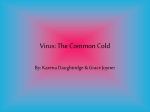 Virus: The Common Cold