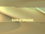 Infection Control Terms