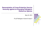 Demonstration of Cross-Protective Vaccine Immunity against an