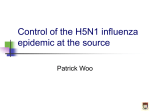 Avian influenza in human