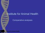 Institute for Animal Health