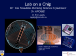 Lab on a Chip