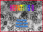 HepatitisB