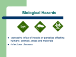 Biological Hazards