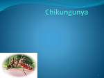 Chikungunya