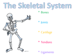 Diapositiva 1