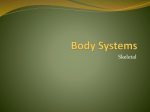 Body Systems - Bishop Ireton High School