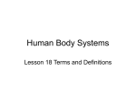 Human Body Systems