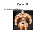 Option B