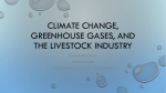 Climate Change, Greenhouse Gases, and the Livestock Industry