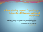 Climate Policy beyond Copenhagen