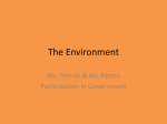 The Environment