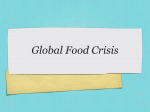 Global Food Crisis