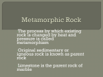 Metamorphic Rock