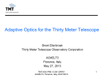 Project Manager Presentation to the TMT Board