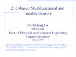 ZnO-based Multifunctional and Tunable Sensors