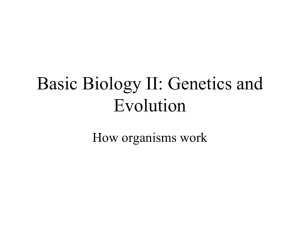 Basic Biology - NIU Department of Biological Sciences