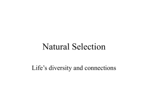 Natural Selection