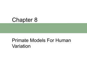 Human Origins and Behavior