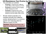 E3_Selection_2011 Part 3