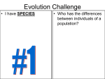 Evolution Challenge