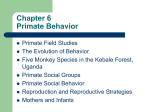 Chapter 6 Primate Behavior