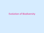 Evolution of Biodiversity