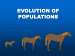 Gene pool – total genetic information available in a population