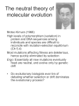 Null hypotheses in evolutionary biology