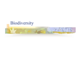 Biodiversity