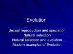 Natural Selection and Evolution