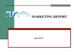 marketing report