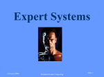 Expert System