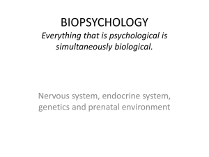 BIOPSYCHOLOGY notes